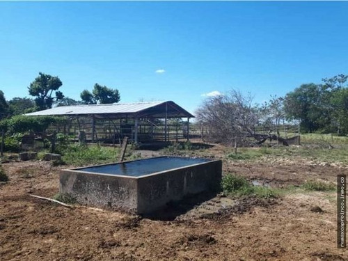 Imagen 6 de 14 de Productiva Finca En Elorza Apure, Acepta Criptomoneda