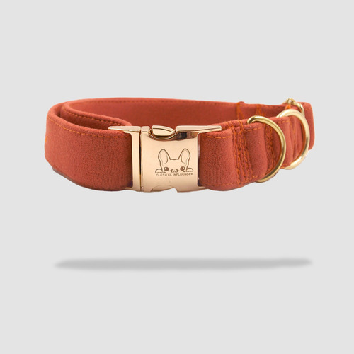 Collar Para Perro 100% Algodón Y Suave - Combina Con Correa Color Naranja Oscuro Cleto El Influencer Tamaño Del Collar L