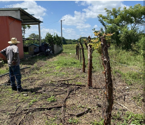 Terreno En Venta En Juan De Alfaro Medellin De Bravo, Veracruz.