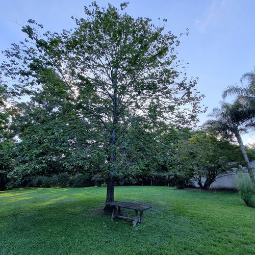 Venta Casa Quincho Piscina En Yeipora