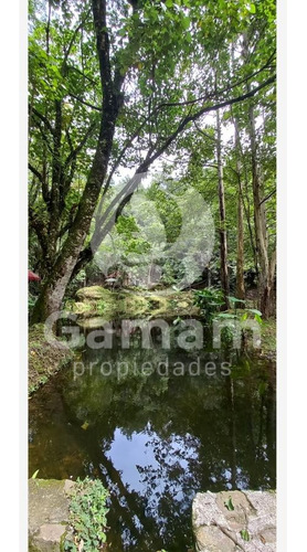 Terreno En Venta En El Texme Con Centro Ecoturistico Operativo