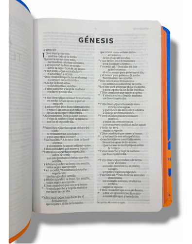 Imagen 5 de 9 de Biblia Nueva Version Internacional Azul Naranja Imit Piel
