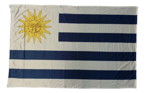 Bandera Uruguay 90 X 150 Cm Oficial - Reforzada Con Cordones