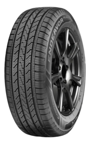 Kit De 2 Llantas 245/55 R19 Coopertires Endeavor Plus 107h