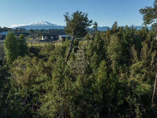 Parcela En Condominio Los Canelos: Naturaleza Y Plusvalía