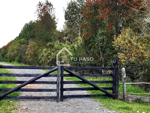 Parcela En Venta En Río Bueno