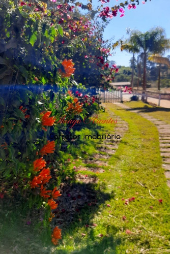 Imagem 15 de 30 de Chacara - Ch00115 - 69298535