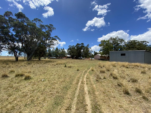 Imagen 8 de 14 de Chacra A La Venta Sobre Ruta Interbalnearia Excelente Ubicación 36há O Fracción