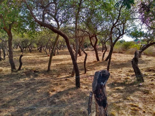 Imagen 7 de 11 de Terrenos O Lotes Venta Carpintería