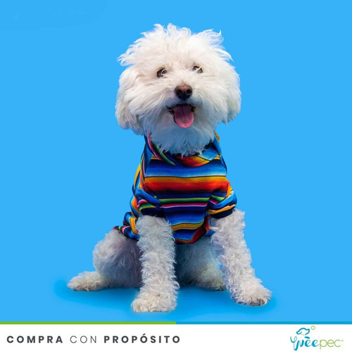 Imagen 3 de 4 de Playera Gaban Multicolor (s)