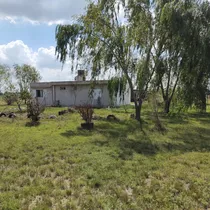 Comprar Campo Con Casa, Quincho Y Cochera, Amplio Deposito Y Estructura Para Tinglado. 