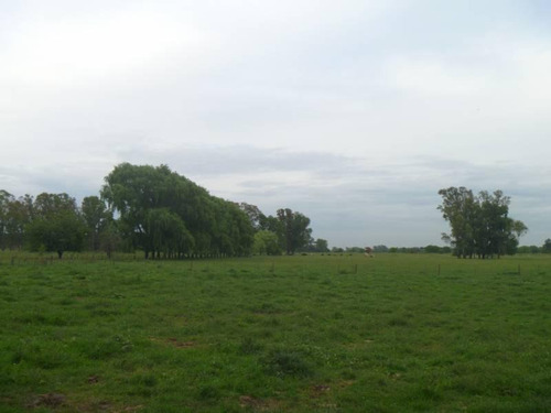 Imagen 6 de 20 de Casa Campo En Venta Ubicado En Pilar, G.b.a. Zona Norte