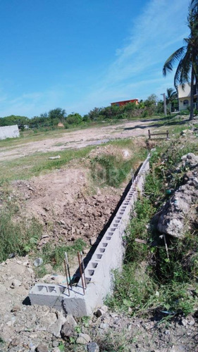 Terreno En Renta En Los Fresnos Altamira