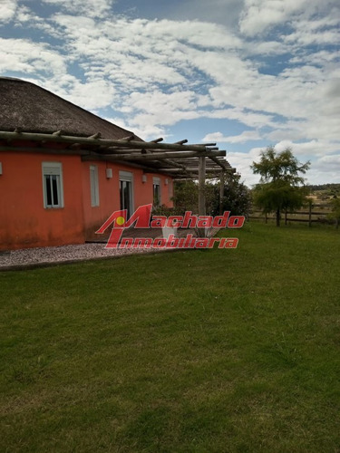 Imagen 2 de 30 de Venta De Chacra 3 De Hectáreas