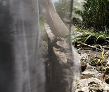 Imagen 3 de 12 de Venta Terreno Yautepec Morelos