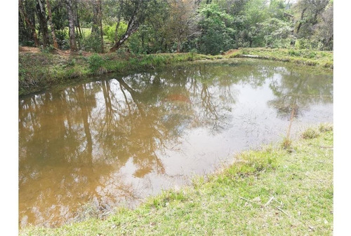Imagen 2 de 7 de Vendo Campo De 4 Has