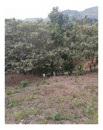 Venta Lote Campestre De 2.000 Mts2, Vereda Los Andes, Cali. 12955-1.