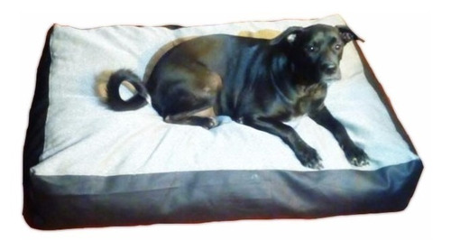 Cama Mascotas Grande Colchon Perro Gato Cojin Envio Gratis