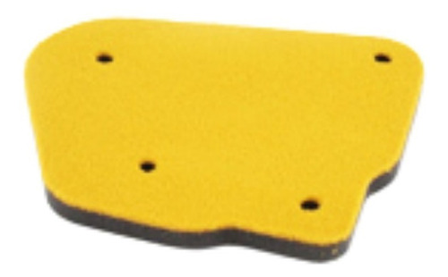 Filtro De Aire Bws 100 Elemento (f007)