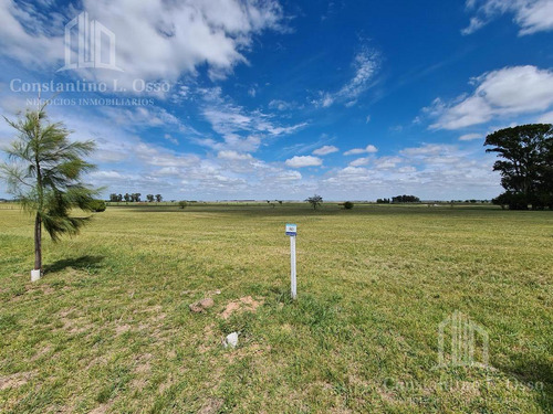 Imagen 3 de 11 de Oportunidad - Lote Muy Bien Ubicado - El Mirador - Samborombon