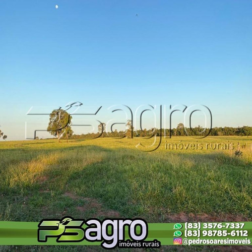Imagem 2 de 8 de Fazenda À Venda, 1.500 Alqueires Por R$ 48.000.000 - Zona Rural - Chapadão Do Sul/ms - Fa0170