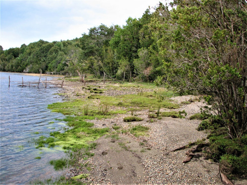 Z3) Se Vende Parcela A Orillas De Lago Tepuhueico, Chonchi