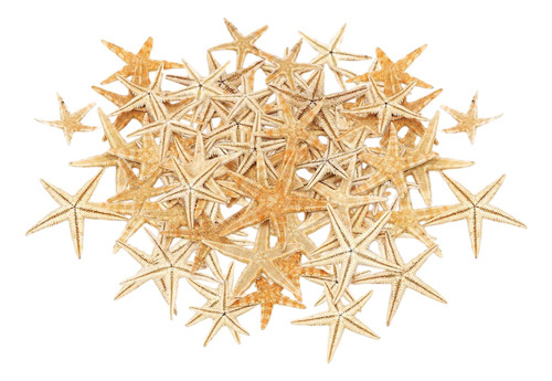 2024 Decoración De Estrella De Mar Natural For 1-5cm 100