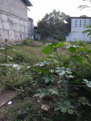 Imagen 25 de 28 de En Venta Galpón Y Terreno Ubicado En Ejido Sector Los Higuerones