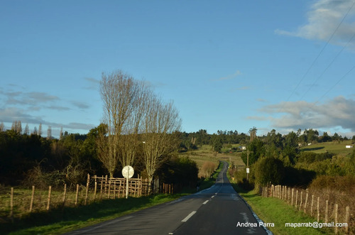 Terreno Con Bosque Nativo, Bosque De Arrayanes Y Riachuelo