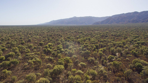 Imagen 6 de 18 de Venta De Campos En Córdoba Chancaní Campo Ganadero