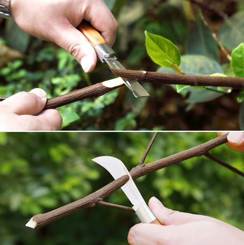 Kit De Herramientas Naye Injerto 2 En 1 Para Árboles Frutale Herramienta De Injerto Y Cuchillo