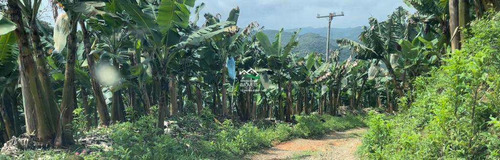 Imagem 9 de 30 de Chácara Com 2 Dorms, Area Rural, Itariri - R$ 239 Mil, Cod: 518 - V518