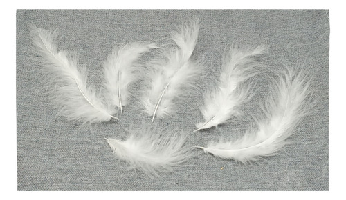 Bolsa De Plumas Palo Real Ave Blanca Calidad 10 Gramos
