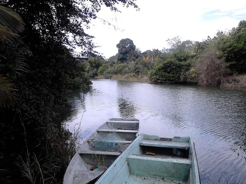 Venta Finca Terreno 5000 M² En Juana Moza Tuxpan Veracruz