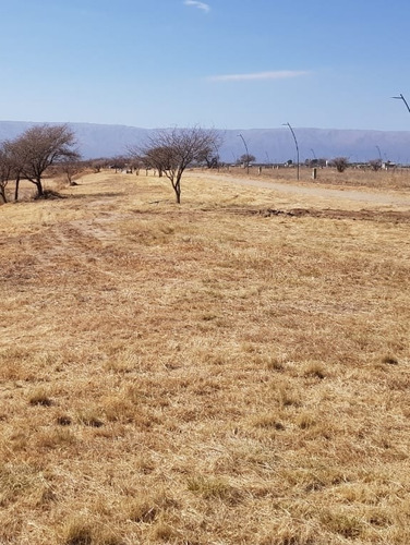 Imagen 2 de 4 de Lote En Venta En Estación Conlara.