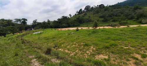 Imagem 2 de 14 de Y20- Lotes Otimos Para Chacara Terrenos Com 5.000m2 !!!!