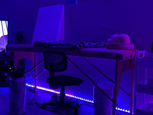 Cama De Masaje Profesional Portátil Plegable Ajuste Altura
