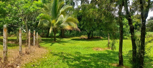 Imagen 13 de 13 de Vendo Casa En Portón Iberia Siquirres Limón