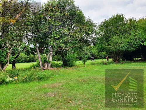 Imagen 6 de 10 de Terreno En Venta Canning - Ezeiza
