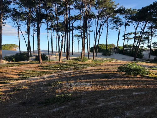 Magnifico Terreno Sobre La Playa De El Pinar