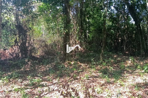 Imagem 5 de 6 de Bom Lote Inteiro No Jardim Coronel