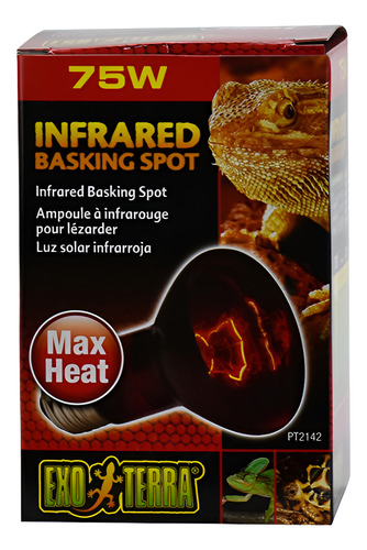 Foco Infrarojo 75 Watts Exo Terra Envio Incluido