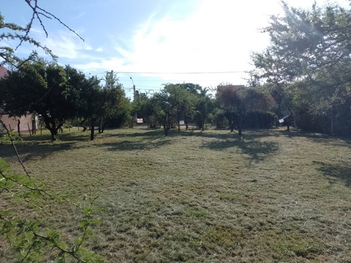 Venta De Lote Ideal, Bº Nuevo Merlo, Con Gas Natural.