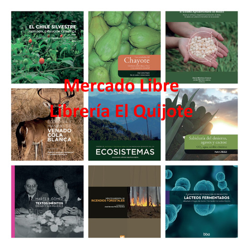 Produccion Sustentable De Bambues En Mexico - Colpos