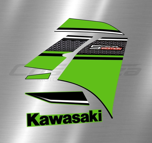 Calcos Kawasaki Ninja 300 Special Edition 2013 Later Derecho