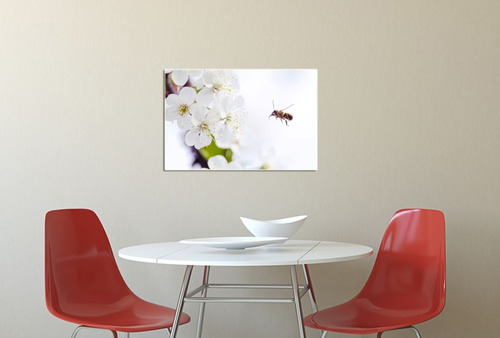 Cuadro 40x60cm Flores Colores Abejas Bee Insecto Miel M9