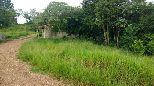 Imagem 14 de 15 de Terreno Para Venda - 209270