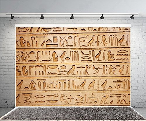 Hieroglifico Egipto Foto Telon Fondo 6x4ft Antiguo Arte