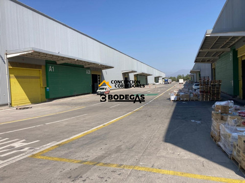 Arriendo Bodega De 777 M2 En Pi De San Bernardo.