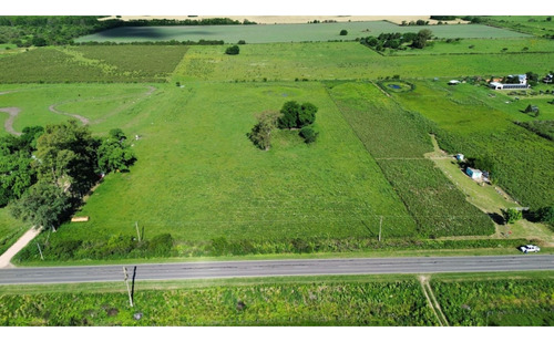 Vendo Campo De 3 Hectáreas En San Justo, Entre Ríos.